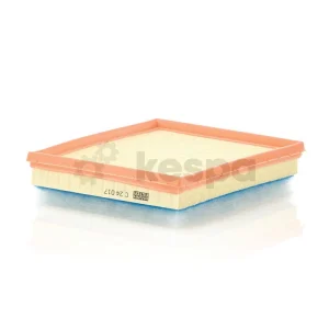 Luftfilterelement C24017