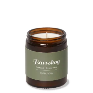 Torplyktan Barrskog Doftljus 150 g